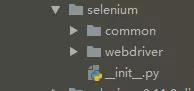 python+selenium初學(xué)者常見問題