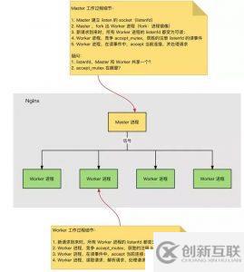 Nginx的運(yùn)行速度為什么這么快