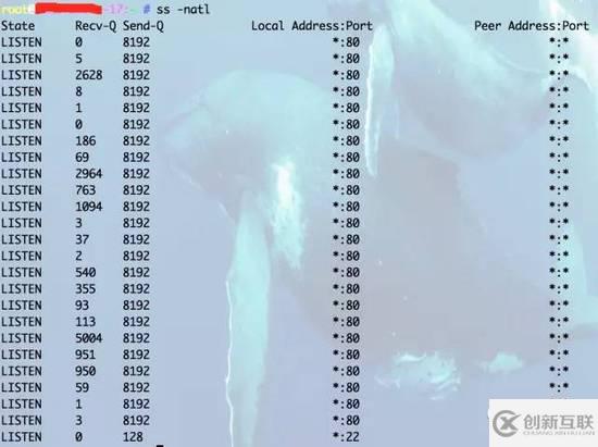 Nginx開啟一個參數(shù)就能讓你的WEB性能提升3倍的方法