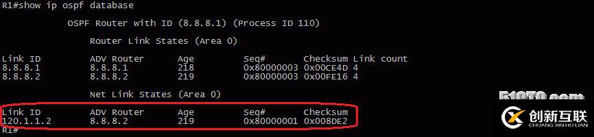 13、OSPF配置實驗之LSA2