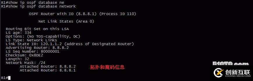 13、OSPF配置實驗之LSA2