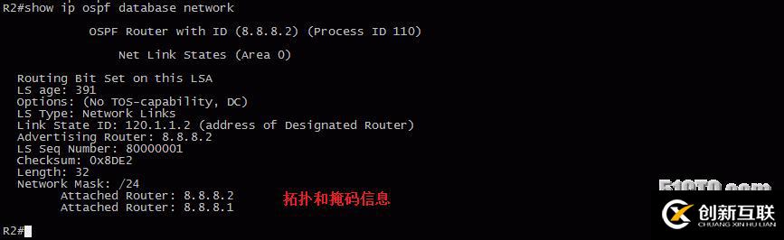 13、OSPF配置實驗之LSA2