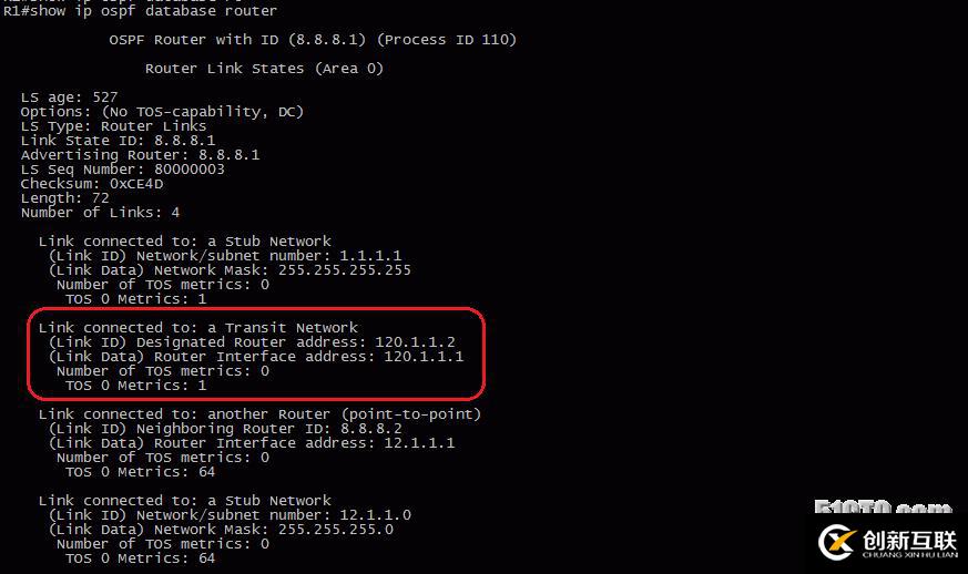 13、OSPF配置實驗之LSA2