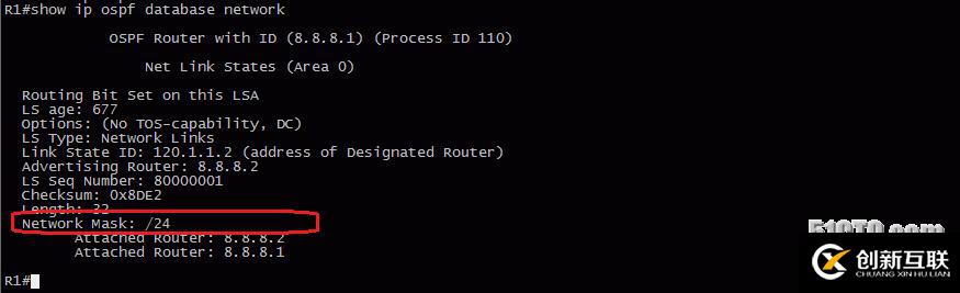 13、OSPF配置實驗之LSA2