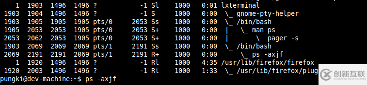 Linux系統(tǒng)中常用的ps命令有哪些