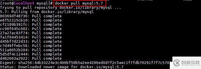 docker 安裝mysql5.7