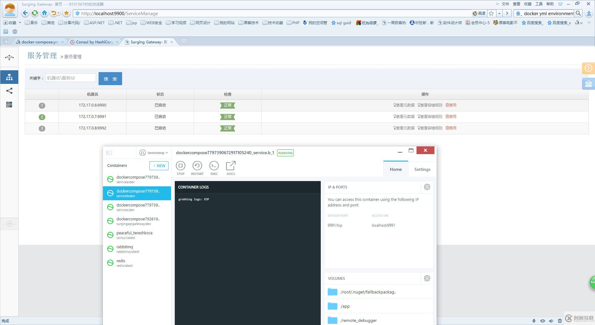 .netcore如何使用surging框架發(fā)布到docker