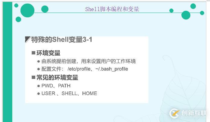 Shell腳本中編程和變量的示例分析