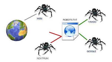 剖析SEO養(yǎng)蜘蛛攻略
