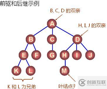 數(shù)據(jù)結(jié)構(gòu)--樹