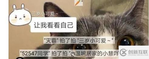 微信聊天中拍了拍指的是什么意思