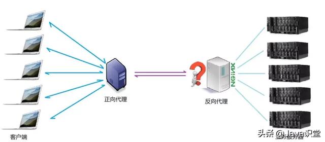 Nginx的作用詳解，為什么在web服務(wù)器中nginx的比例越來(lái)越高？