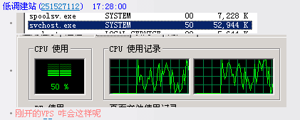 【已解決】剛開的VPS，CPU跑很高