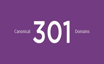 canonical、301、Domains