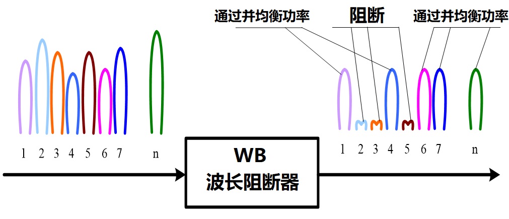 科普：什么是 ROADM？