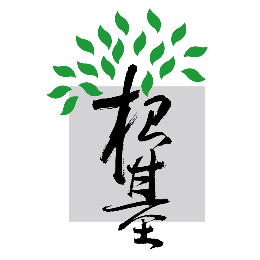 網(wǎng)站設(shè)計基礎(chǔ)