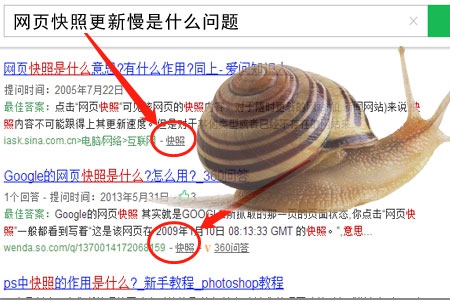 網(wǎng)頁(yè)快照更新不及時(shí)是什么問(wèn)題？