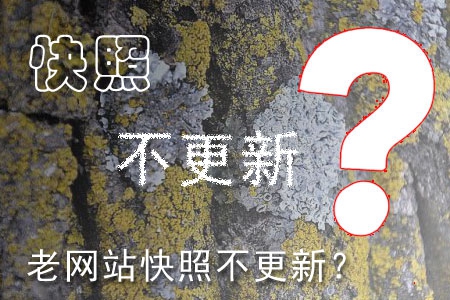 哪些因素造成老網(wǎng)站快照不更新？