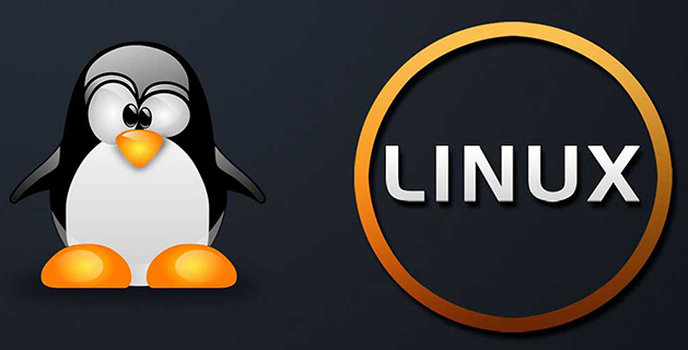 linux怎么ping，LinuxPing的步驟講解