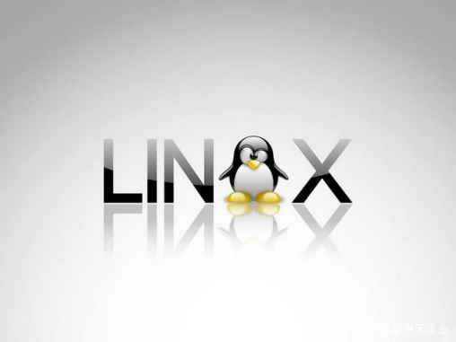 如何在Linux服務器上進行關機操作？