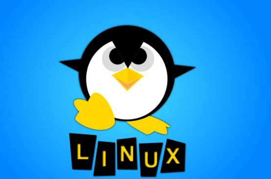 Linux 云服務(wù)器好用嗎？（解讀Linux云服務(wù)器的特點優(yōu)勢）