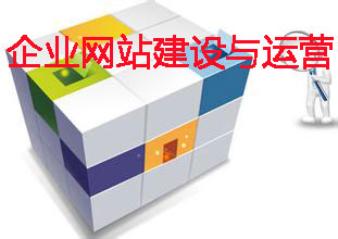 企業(yè)網(wǎng)站建設(shè)與運(yùn)營(yíng)