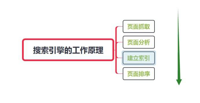 網站怎么讓蜘蛛快速抓?。? width=