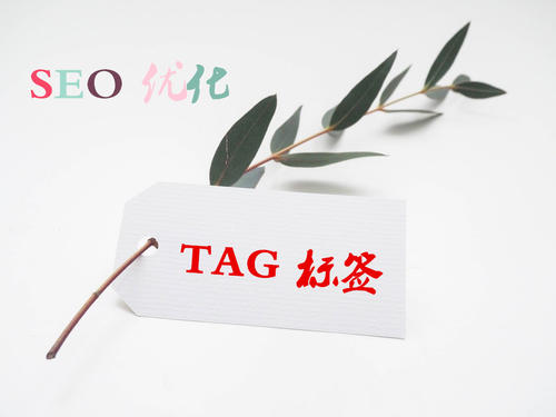 TAG標(biāo)簽的使用對于SEO優(yōu)化的重要性是什么？